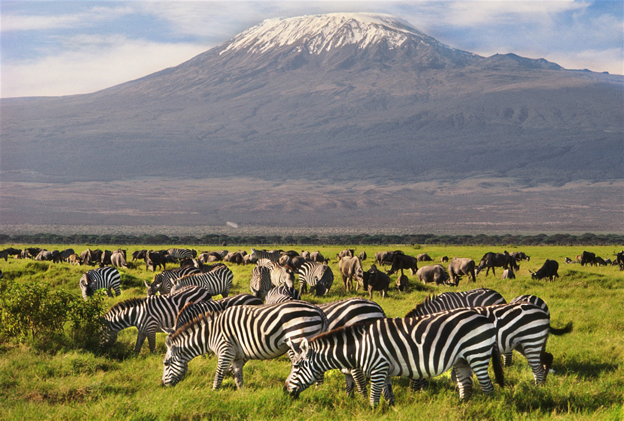 Udsigt til Kilimanjaro, Kenya