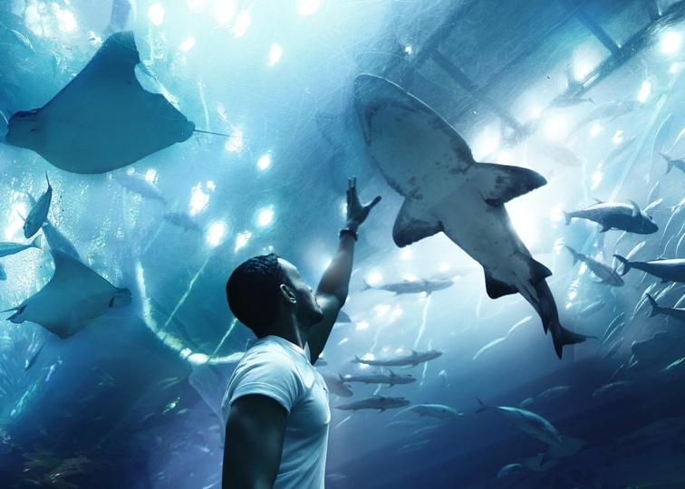 Dubai Aquarium & Underwater Zoo