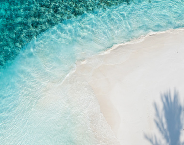 Palmeskygger på stranden ved SO/ Maldives, Maldiverne