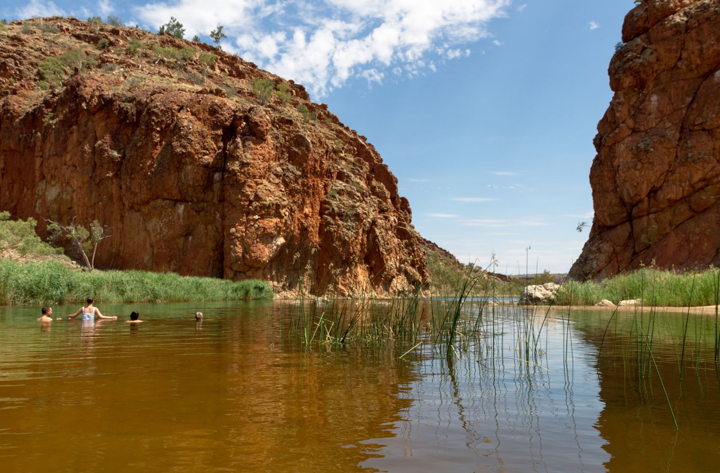 Der bades i vandhuller og floder ved Alice Springs, Australien