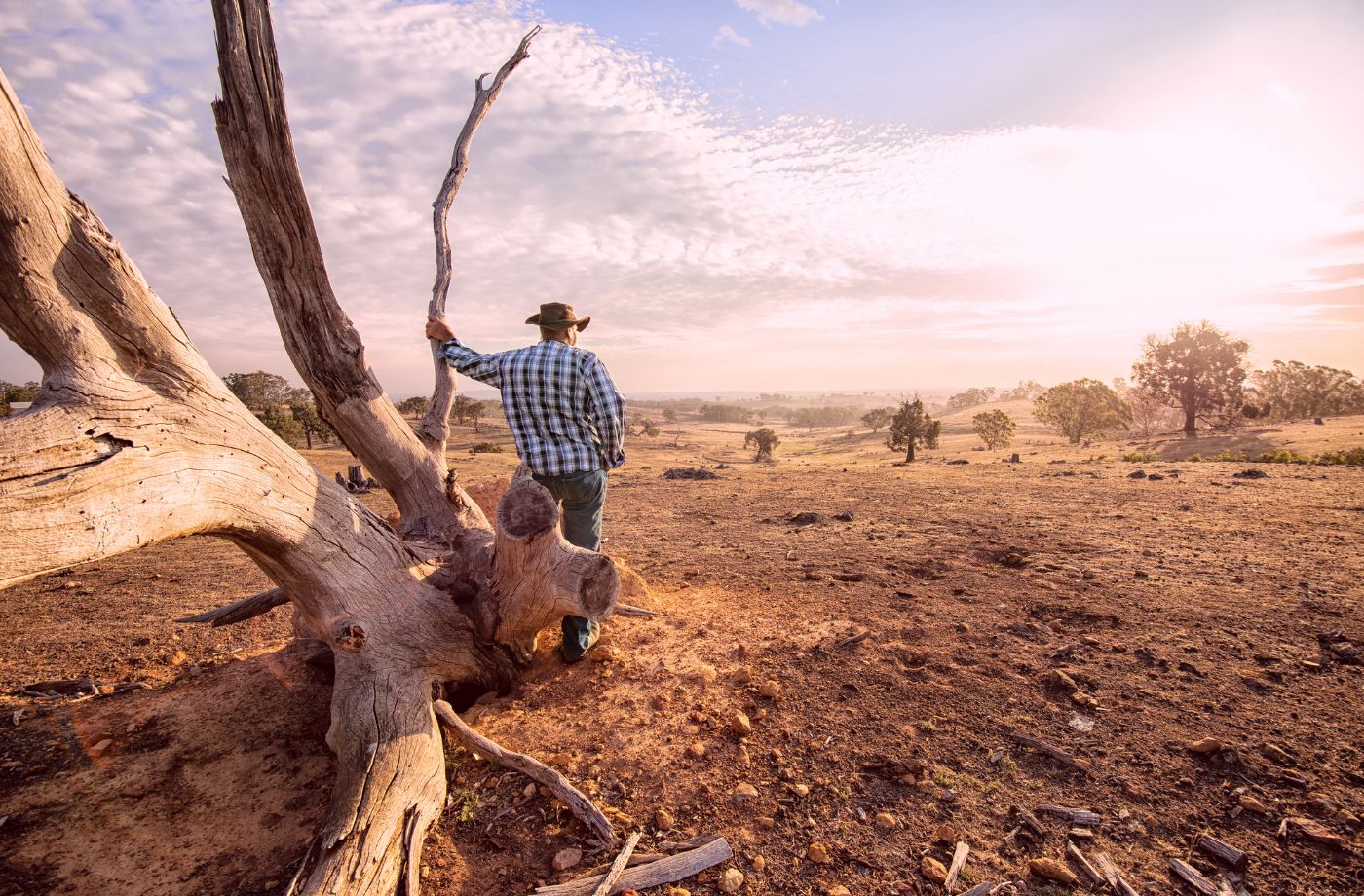 Landmand i den australske outback