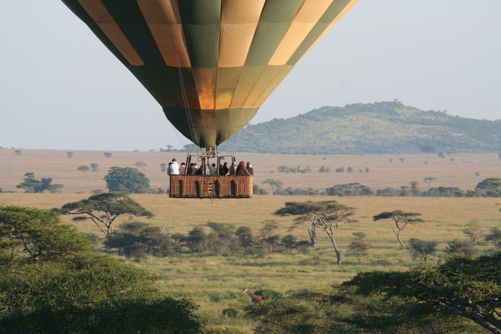 Luftballon safari i Afrika